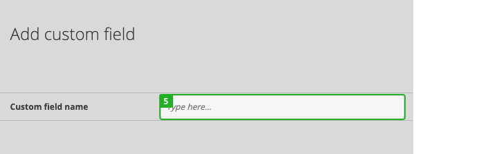 Create_custom_fields_3.png